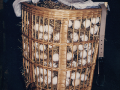 foto-1978-01