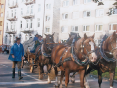 foto-2010-30